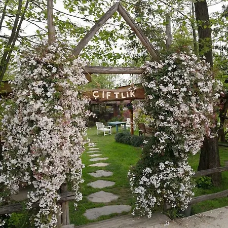 Ciflik Dag Evi